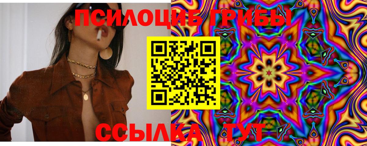 Ревда  Псилоцибиновые грибы Psilocybe  Вход с VPN 